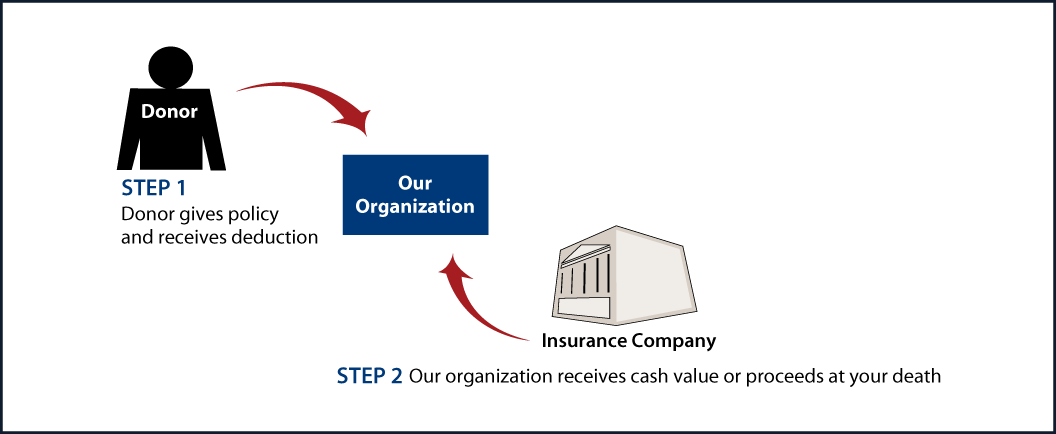 Life Insurance Policy Thumbnail